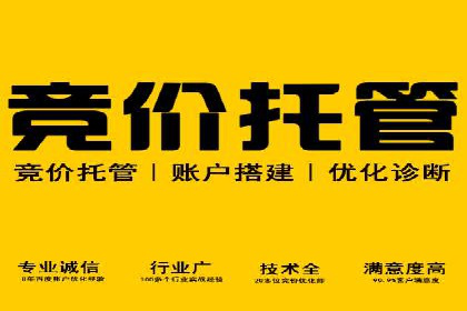 百度竞价包年推广的典型案例与效果展示